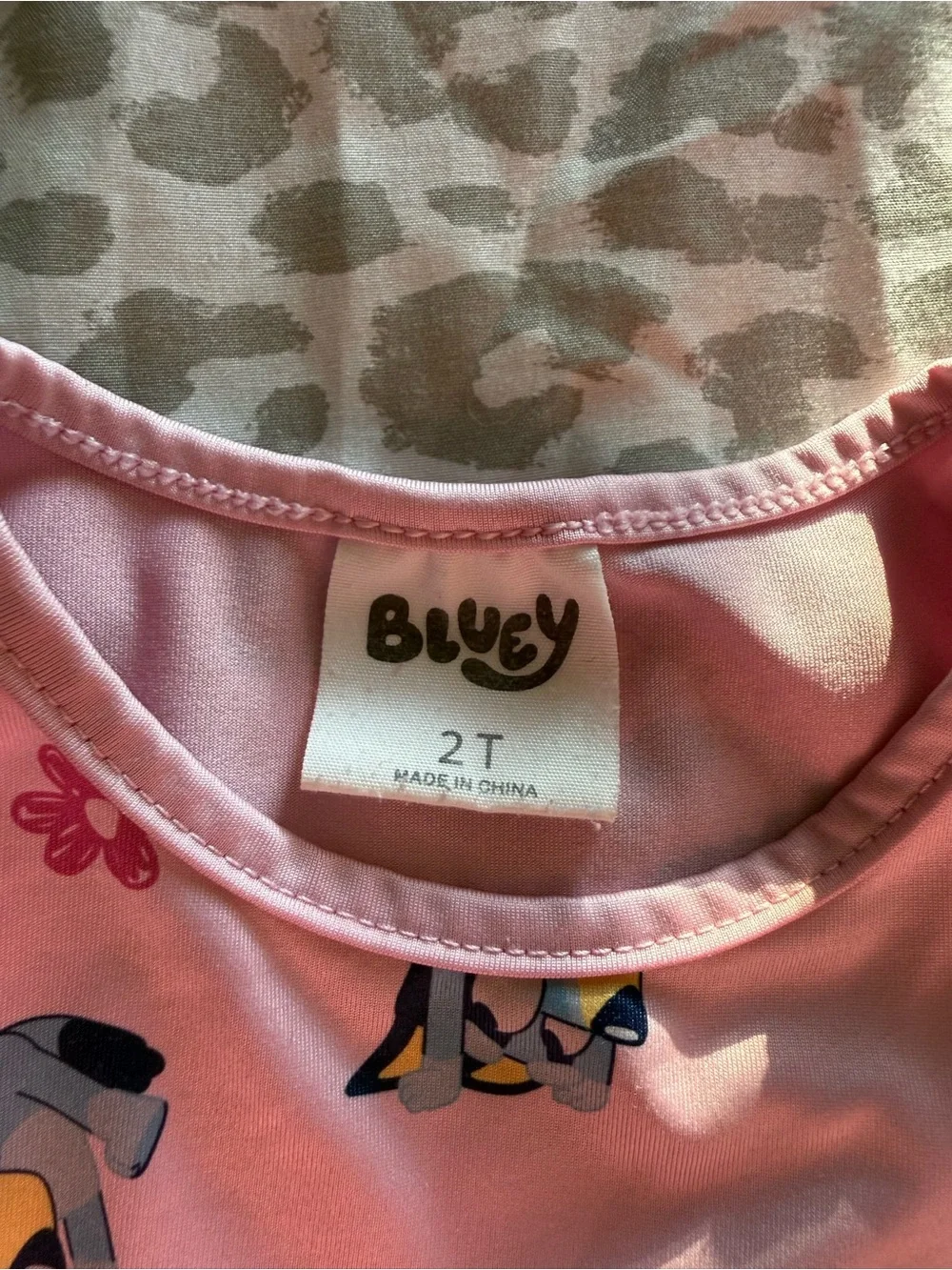 Toddler Girls Bluey Dress